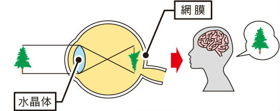 new_見える仕組み