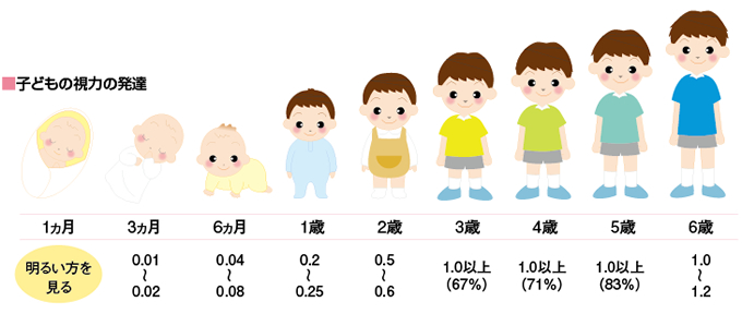 子どもに見られる斜視について 視能訓練士 小原 旭川市 東光眼科